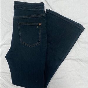 Anthropologie OBI The New Icon Flare Jeans